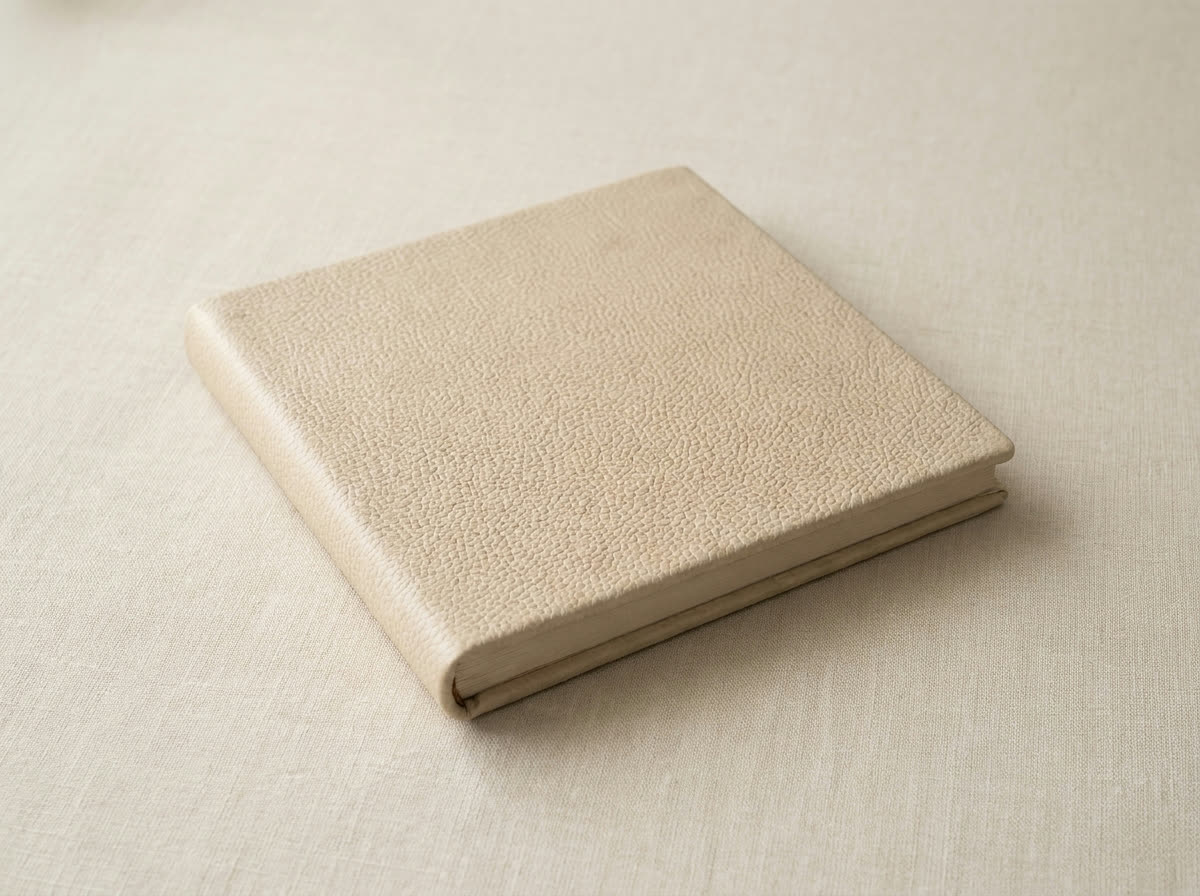 Closed album in Chalk pebbled leather on linen