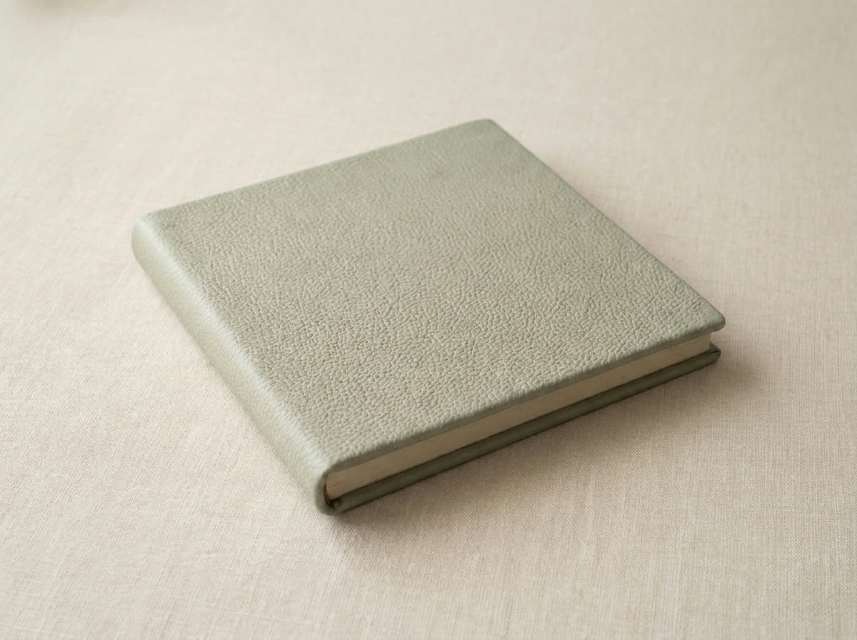 Closed album in Reed pebbled leather on linen